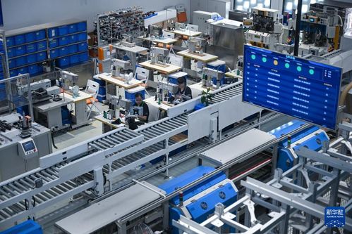 活力中国调研行丨福建莆田 从“制鞋基地”到“智造高地”的产业新活力